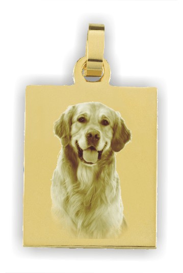 Rechteckform ca. 20x25 mm 333 Gelbgold